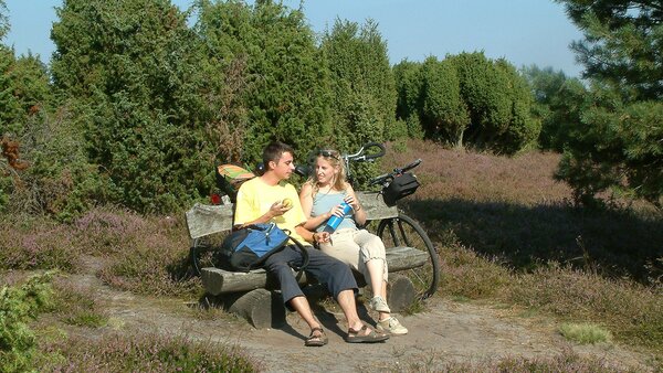 Ein junges Paar rastet auf seiner Fahrradtour auf einer Bank in der blühenden Ellerndorfer Wacholderheide.