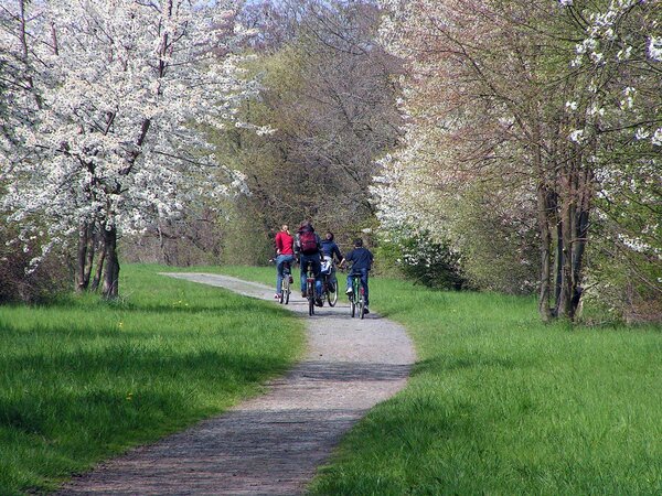 Eine Radfahrergruppe auf der ehemaligen Bahnstrecke Göttingen–Dransfeld–Hann. Münden, wo heute ein Teil des Weser-Harz-Heide-Radweg verläuft.