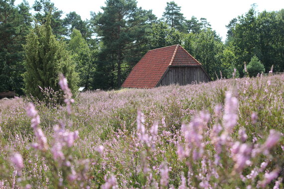 Bodenteicher_Heide_-_Schafstall.JPG