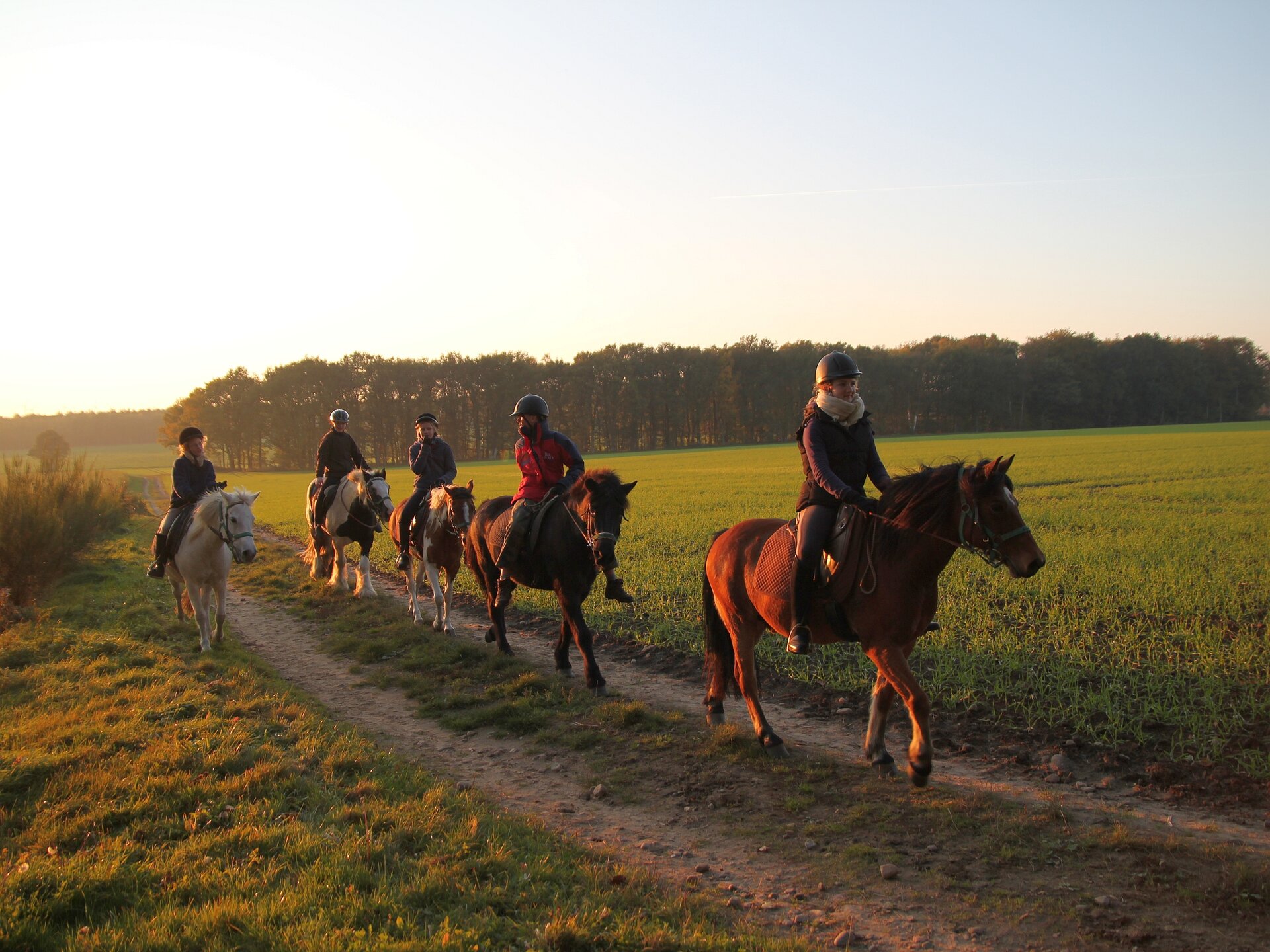 Fünf Teens mit dicken Winterjacken reiten hintereinander auf einem Feldweg. Im Hintergrund blauer Himmel, ein Waldsaum und Sonne