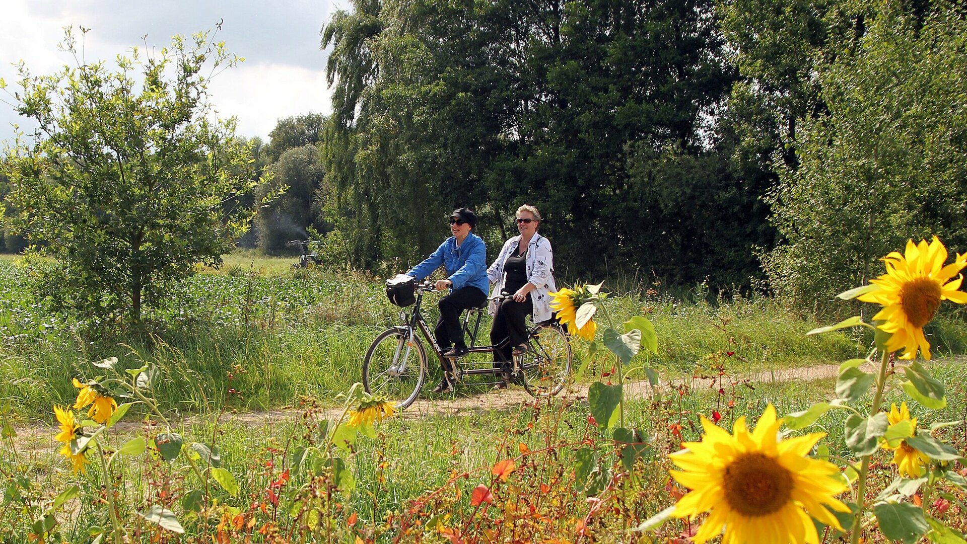 Zwei Frauen mittleren Alters fahren auf einem schrarzen Tandem unter Bäumen über einen Feldweg, dessen Seitenrand mit blühenden Sonnenblumen bewachsen ist.