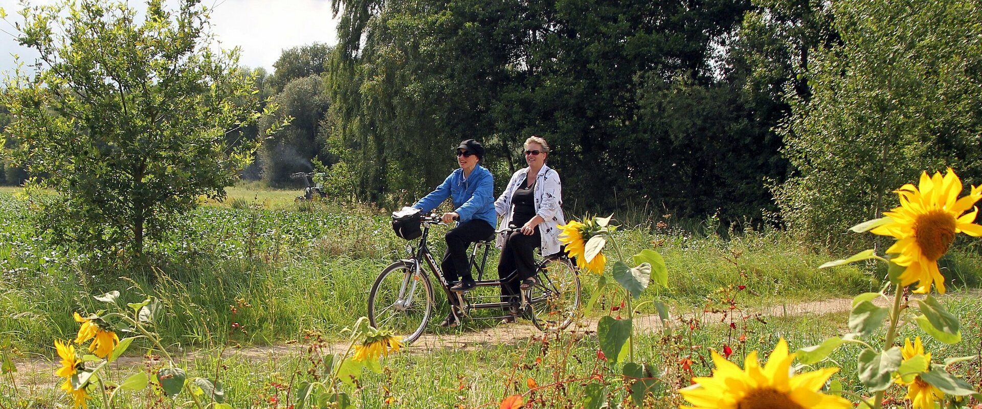 Zwei Frauen mittleren Alters fahren auf einem schrarzen Tandem unter Bäumen über einen Feldweg, dessen Seitenrand mit blühenden Sonnenblumen bewachsen ist.