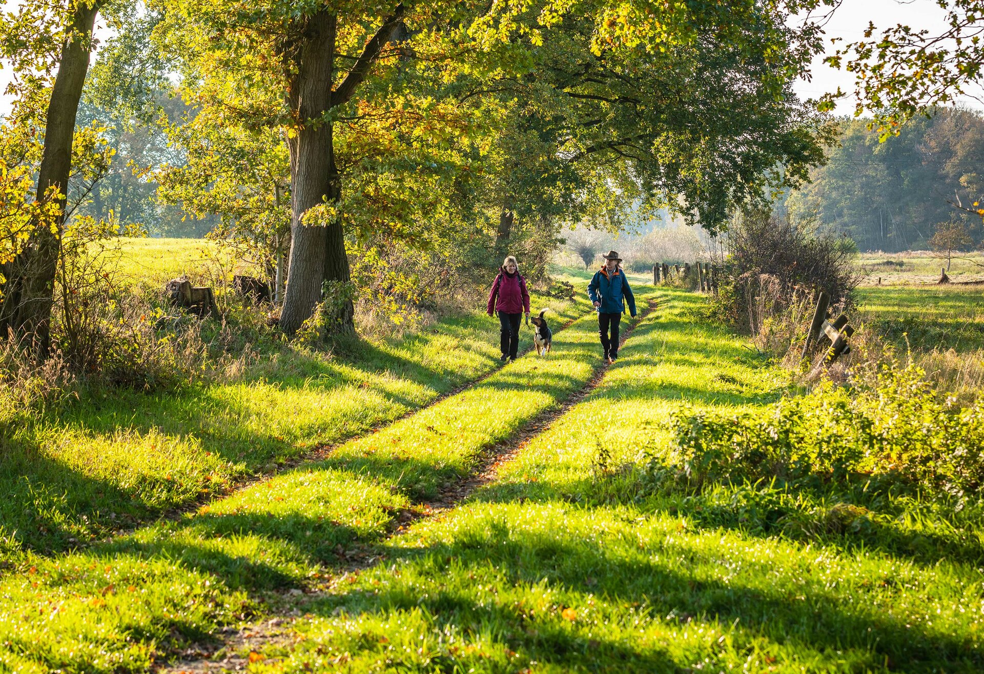 Zu den Wanderangeboten