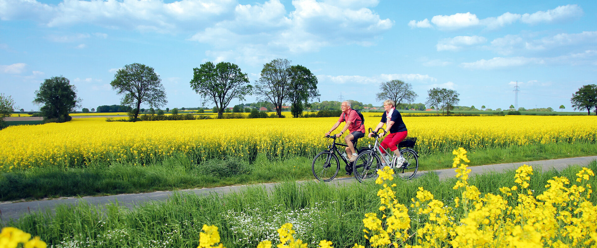 Ein Paar im Seniorenalter macht eine Radtour inmitten blühender Rapsfelder.