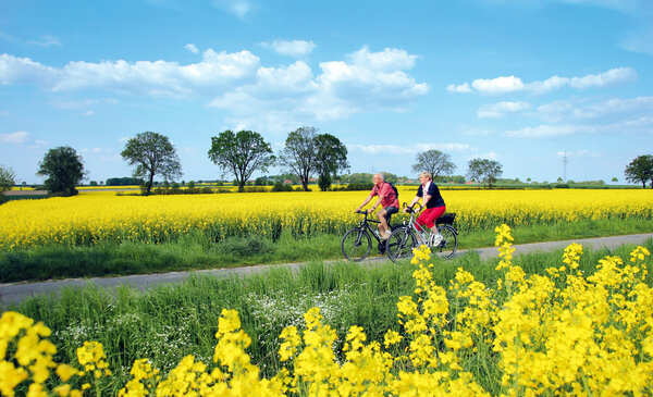 Ein Paar im Seniorenalter macht eine Radtour inmitten blühender Rapsfelder.