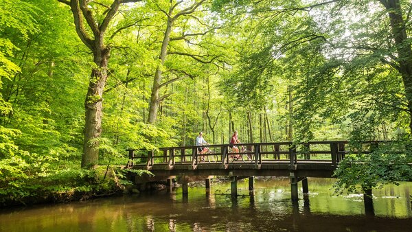 Ein Paar überquert mit seinen Fahrrädern eine im Laubwald gelegene Holzbrücke über die Ilmenau.