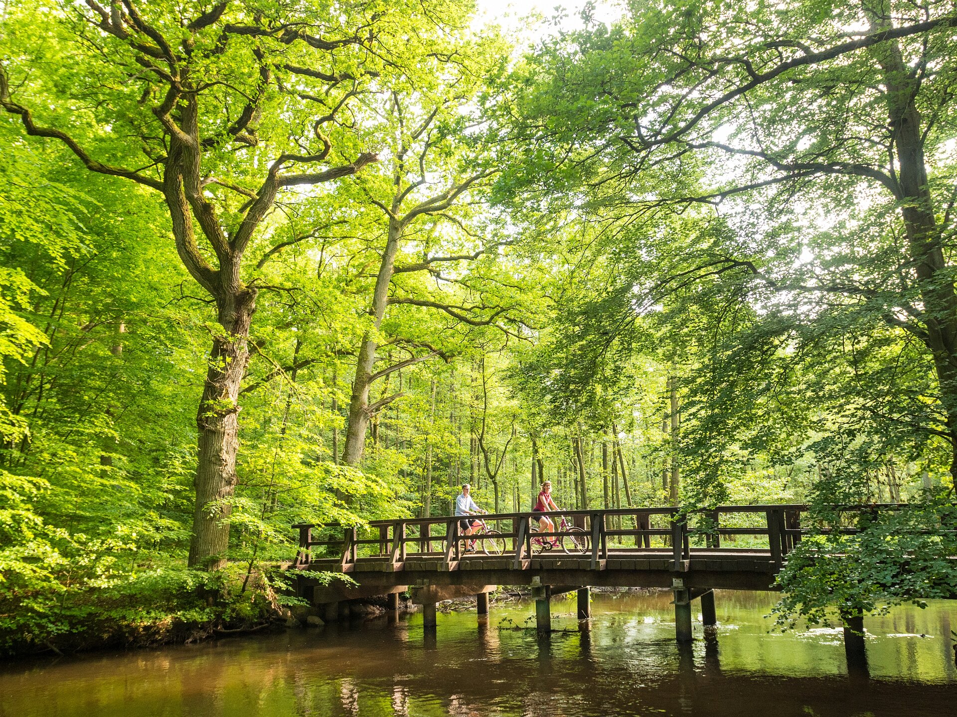 Ein Paar überquert mit seinen Fahrrädern eine im Laubwald gelegene Holzbrücke über die Ilmenau.