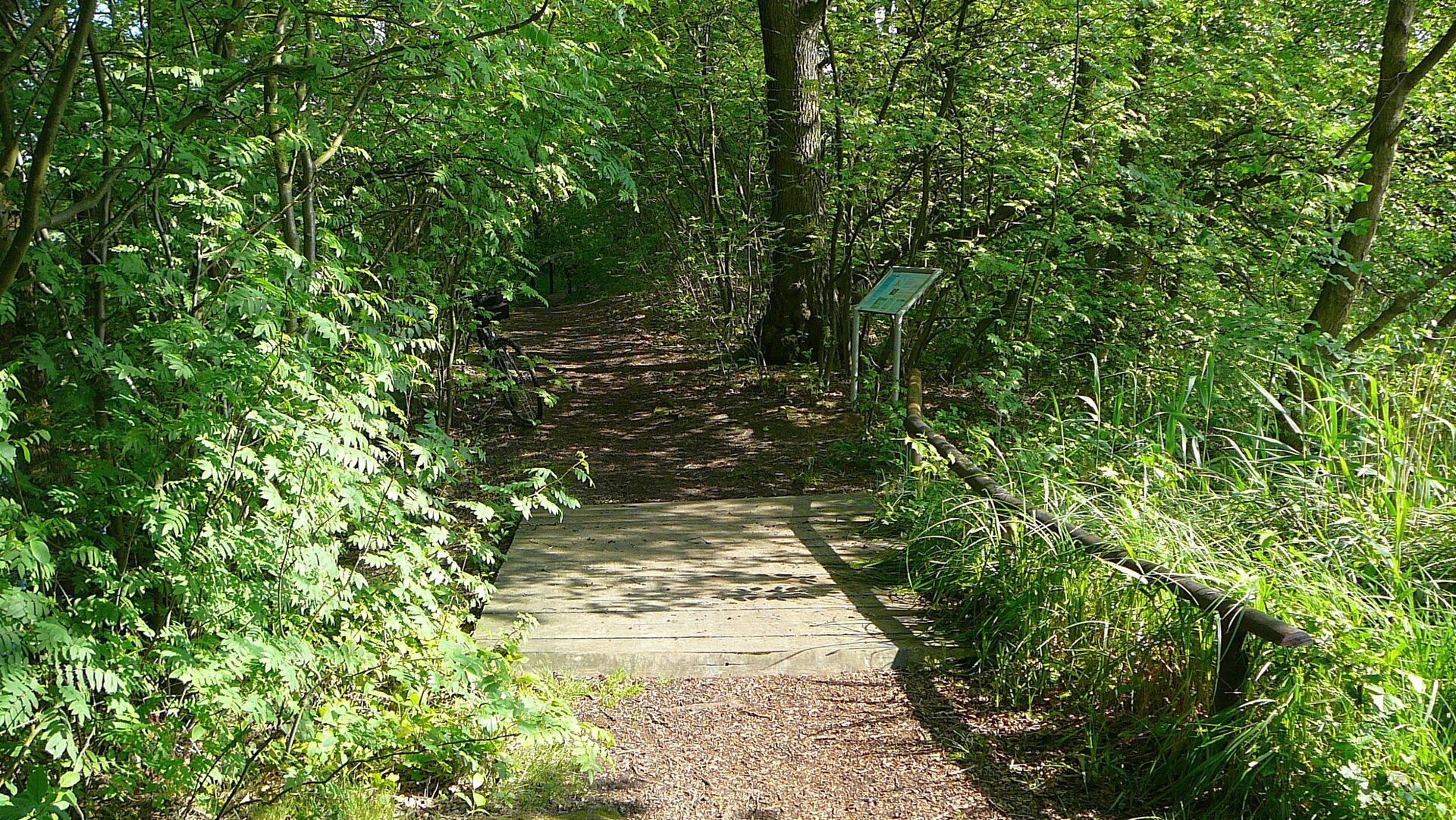 Von Bäumen und Sträuchern umwachsener Waldweg, in der vorderen Bildhälfte Teile einer Holzbrücke, die auf den Weg führt. Rechts hinter der Brücke eine Informationstafel