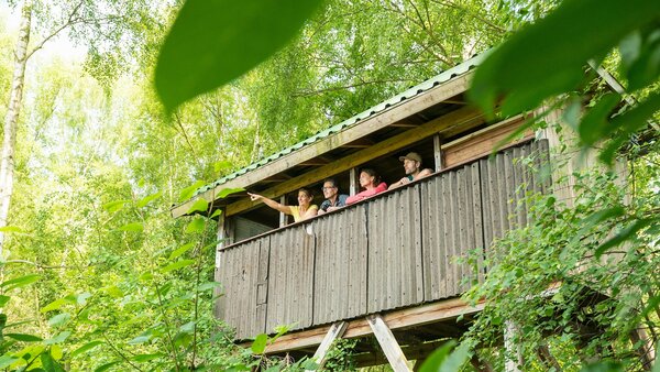 Mehrere Erwachsene stehen nebeneinander in einer von Bäumen umschlossenen Beobachtungskanzel und blichen hinaus. Einer von ihnen deutet mit ausgestrecktem Arm auf etwas, das im Bild nicht sichtbar ist.